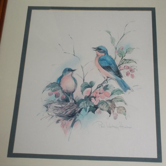Gorgeous Bird print signed, matted & professionally framed in wood frame - Picture 6 of 6